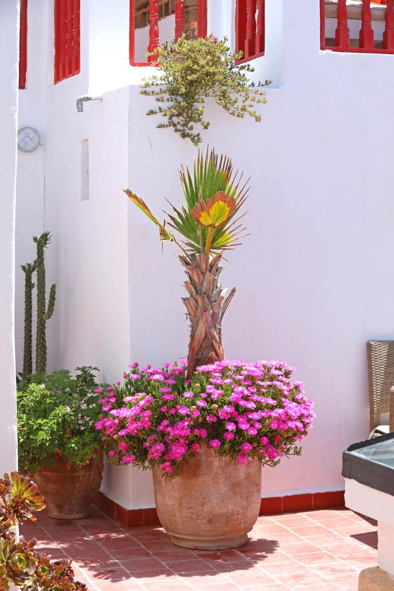 Riad Villa Garance Essaouira Eksteriør bilde